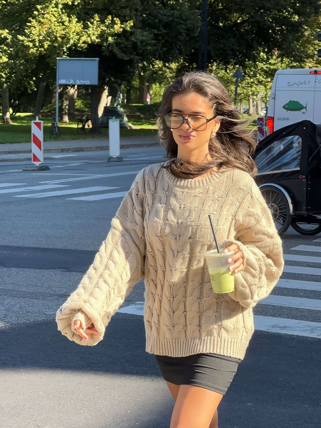 Anora chunky knit sweater - Beige